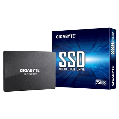 Gigabyte GP-GSTFS31256GTND 256GB, SATA III, Read 520MB/s, Write 500MB/s, 3 Year Warranty